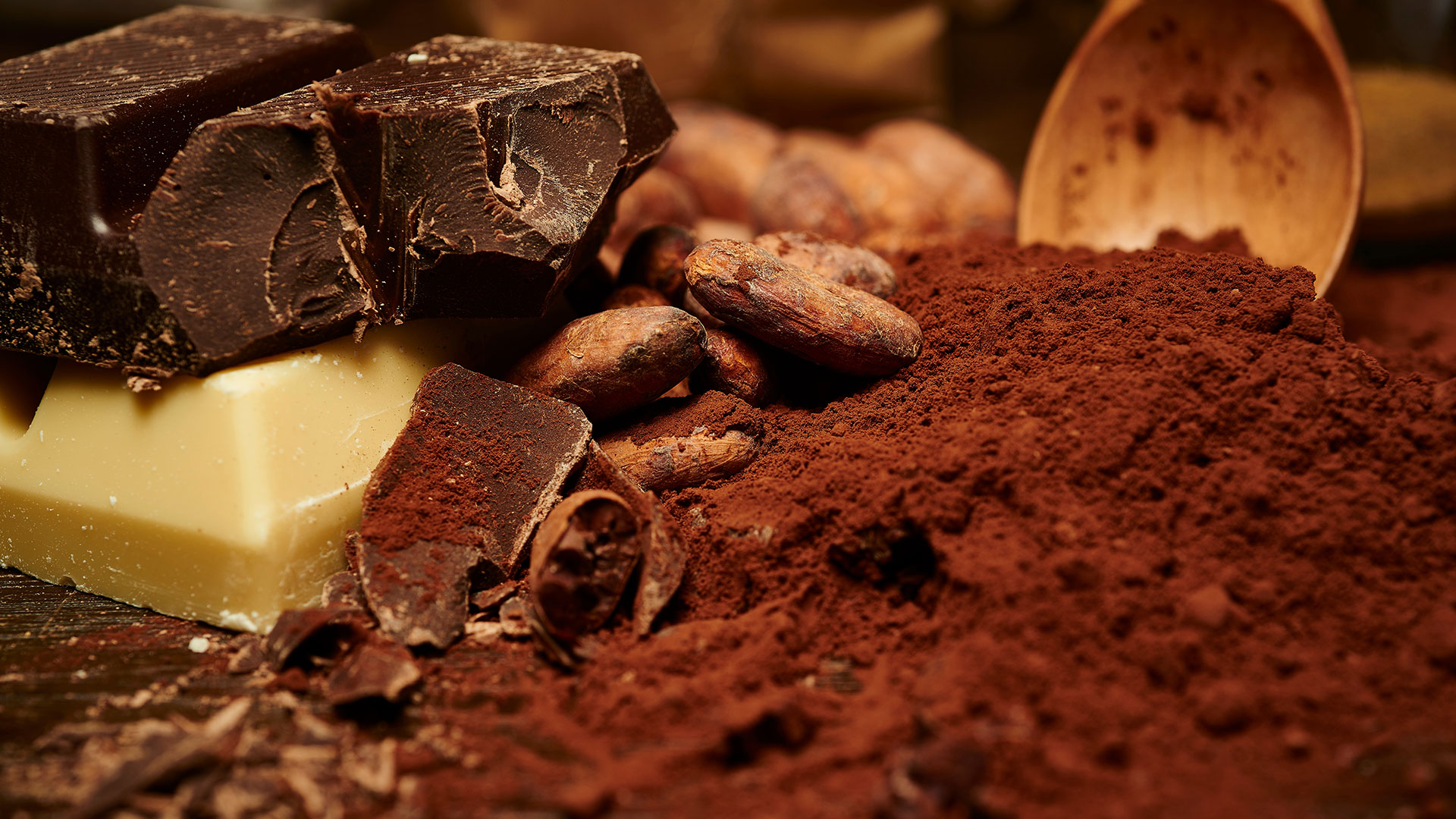 Çörek Otu VS Susam