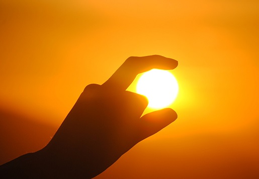 Doğal C Vitamini Kaynakları