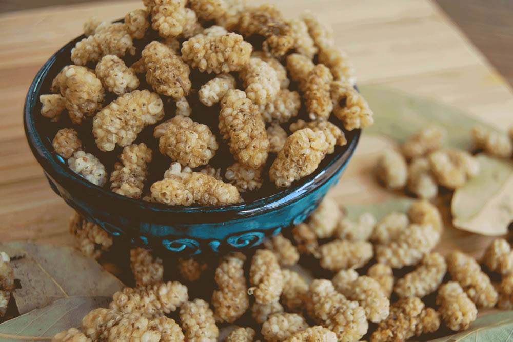 Çörek Otu VS Susam