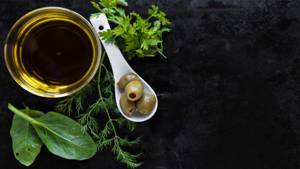 Egelilerin Uzun Yaşamının Sırrı: Zeytinyağı