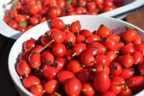 Kuşburnunun Faydaları