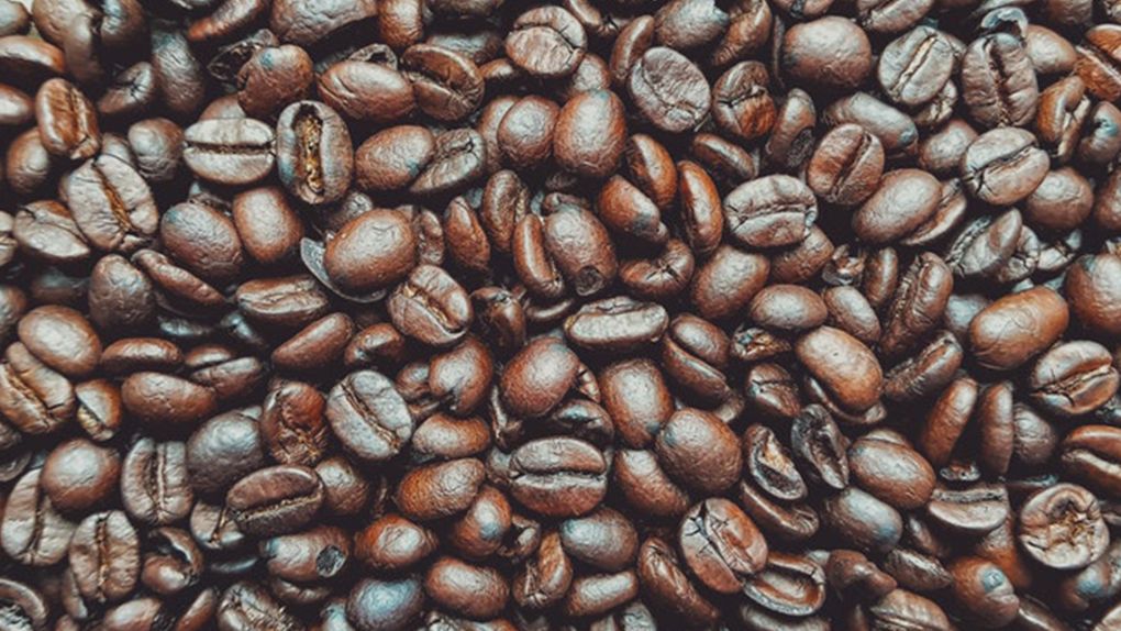 Lavabodan Gelen Kötü Kokular Nasıl Giderilir