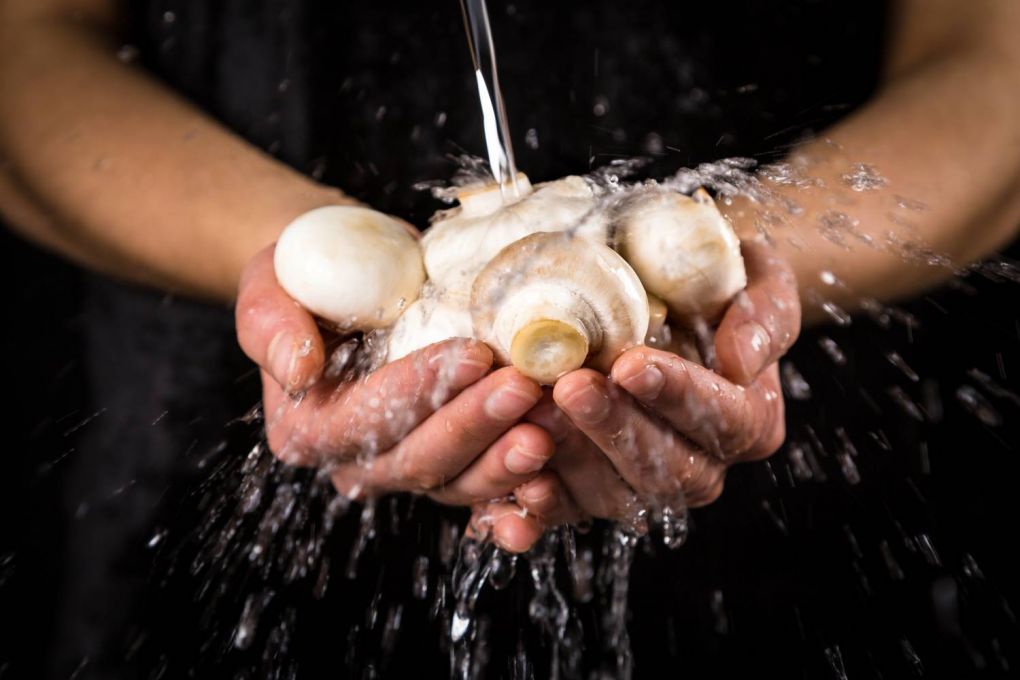 Mantar Yıkanır Mı? Mantar Kararmadan Nasıl Kullanılır?