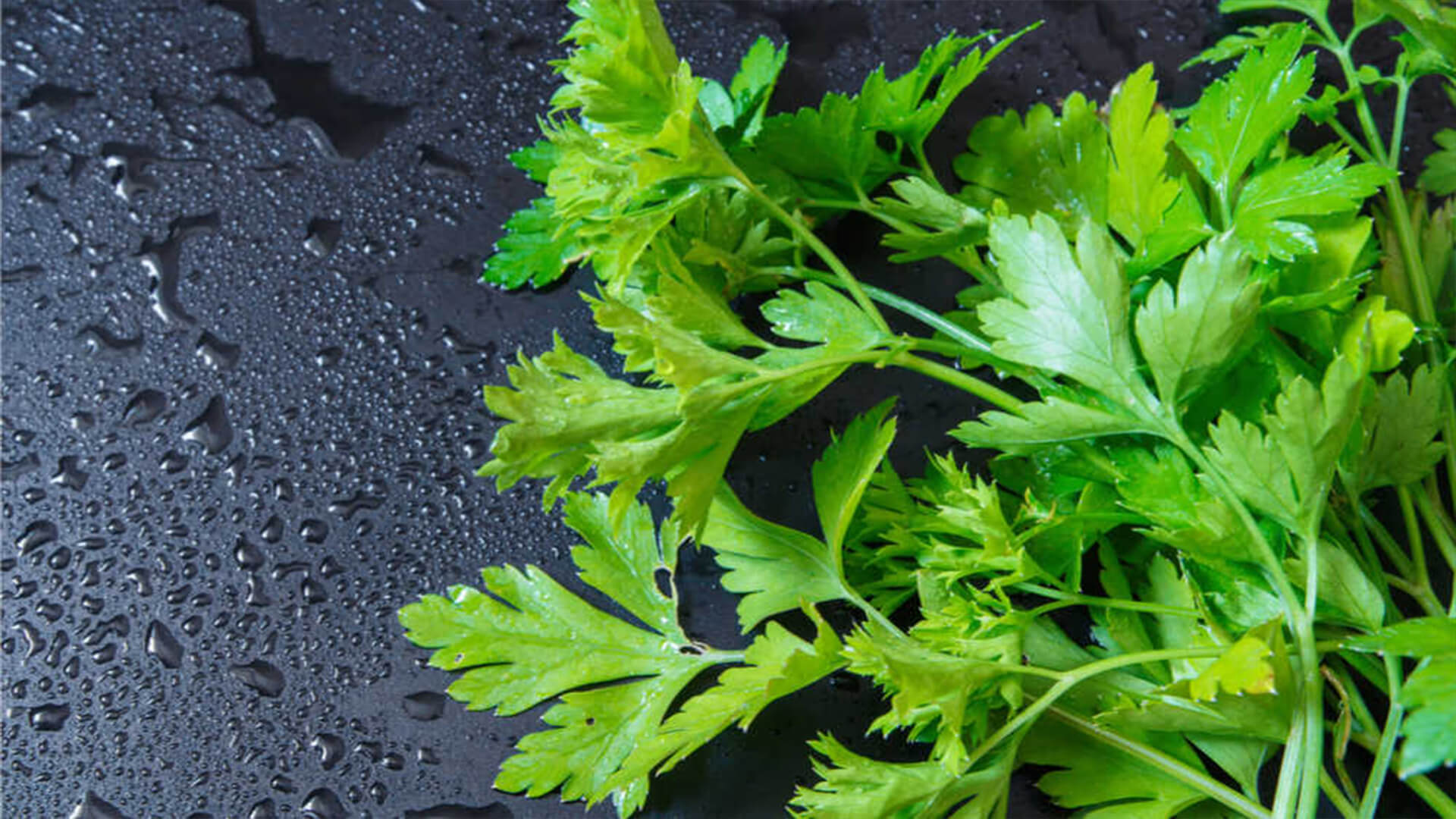 Doğal C Vitamini Kaynakları