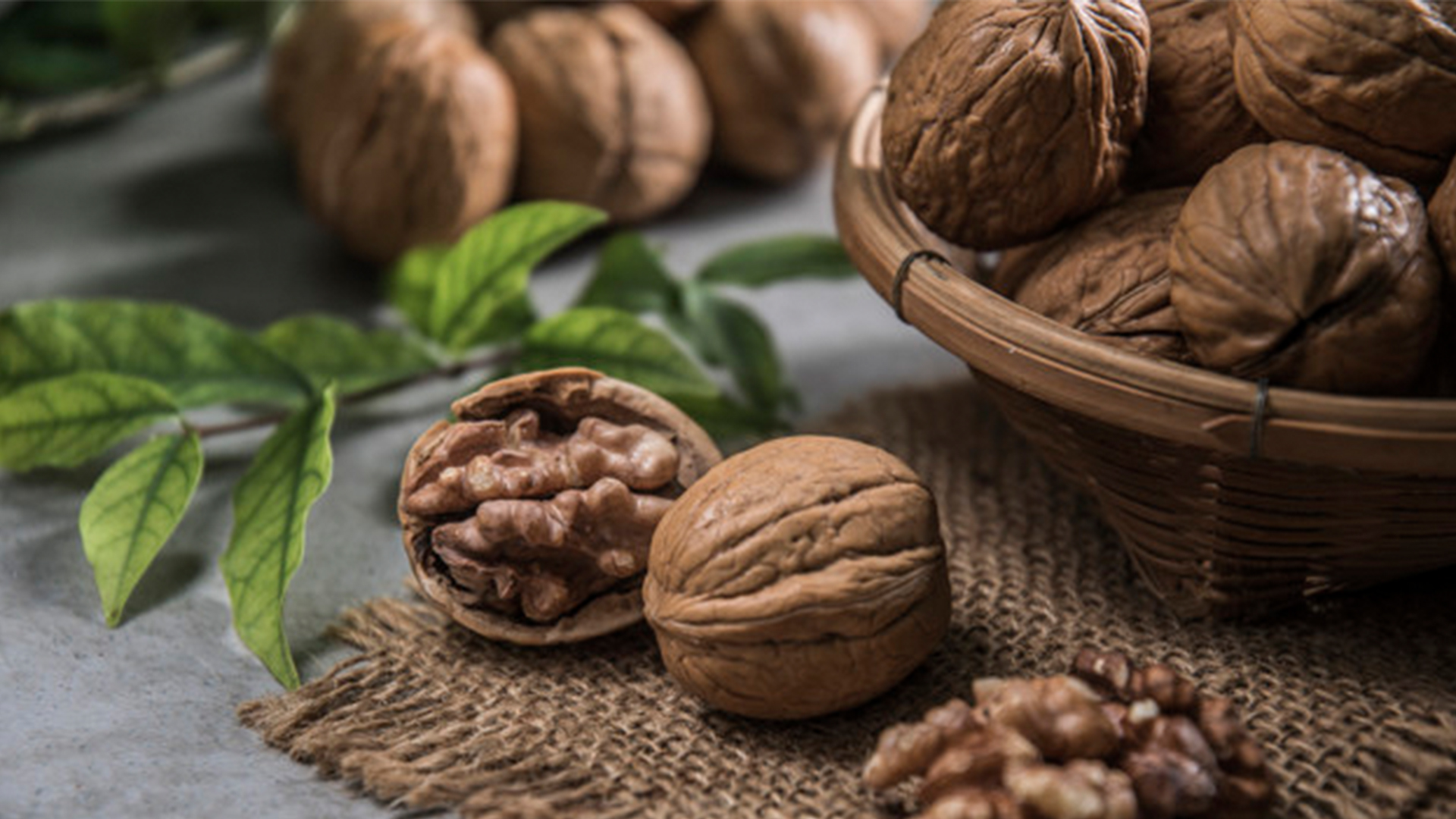 Çörek Otu VS Susam