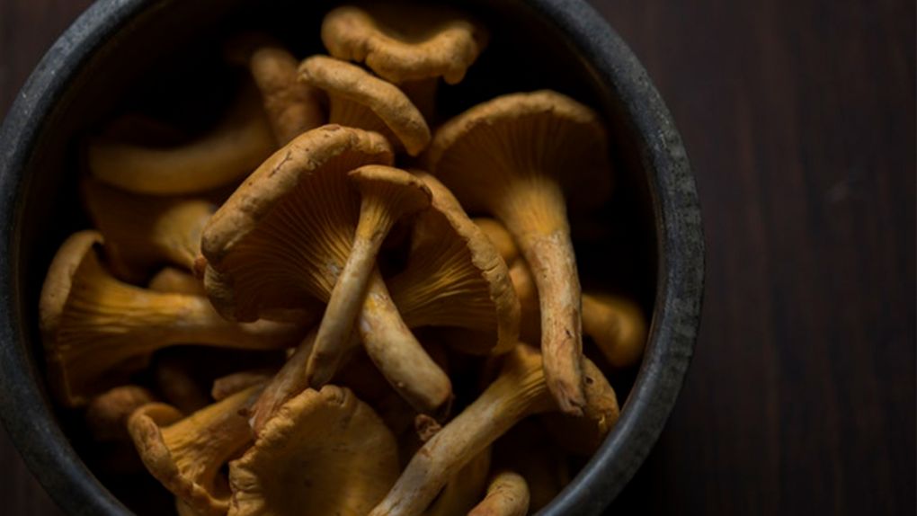 Mutfağım Değerlidir Diyenler İçin: Mantar Konservesi